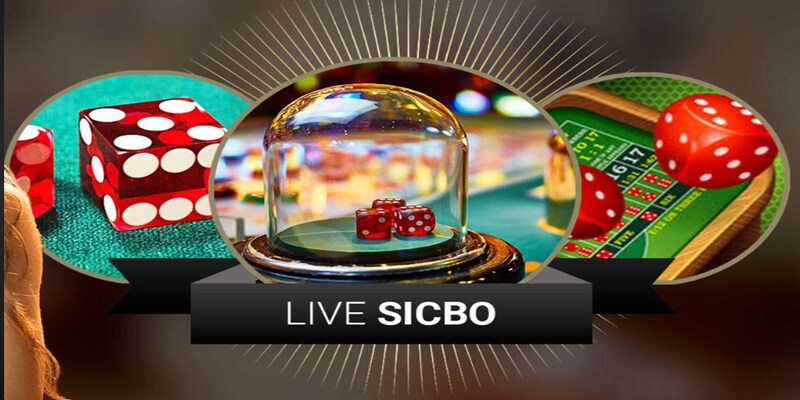 Các loại cược Sicbo Casino bet88